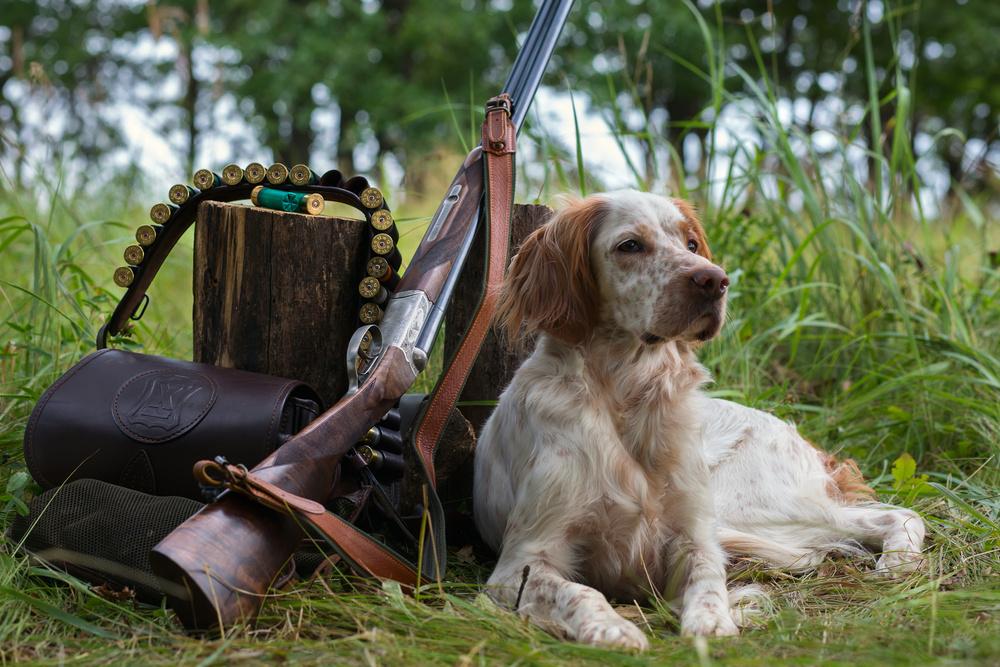 狩猟道具と狩猟犬