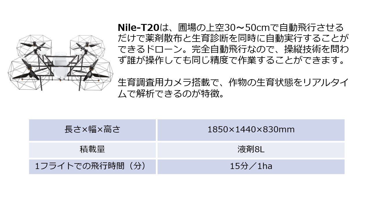 Nile-T19