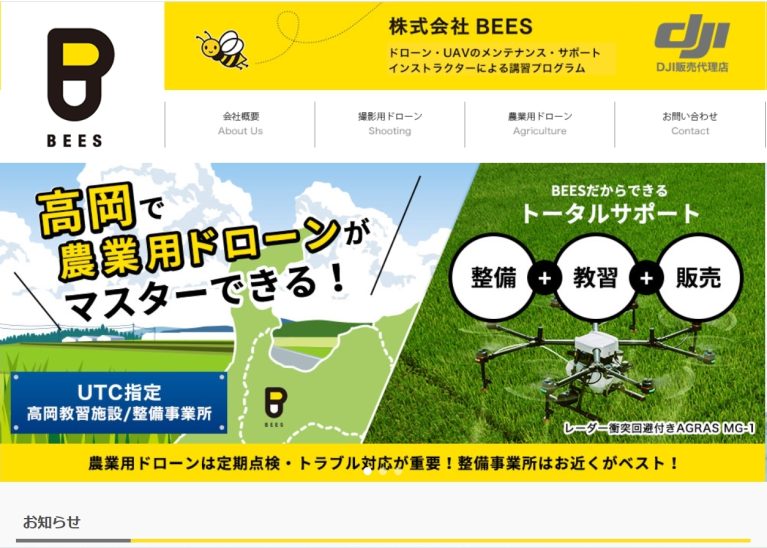 株式会社BEES