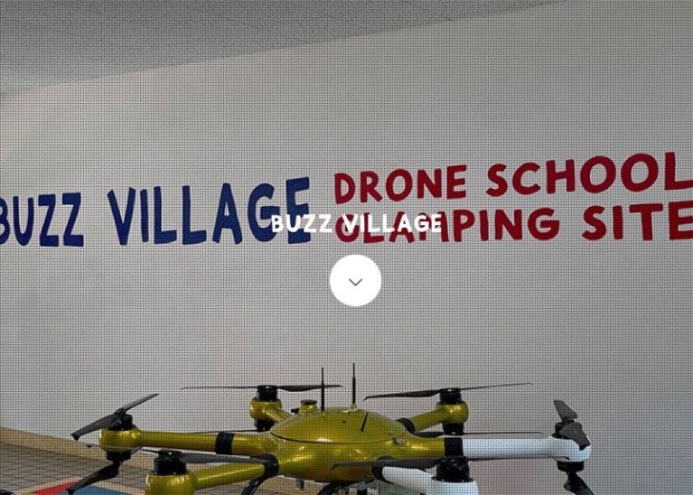 Buzz Village