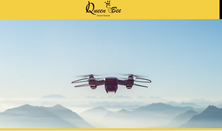 Drone School Queen Bee