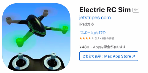 Electric RC Sim